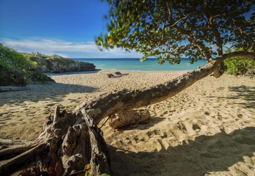 Amazing Condos At Sosua Ocean Village Exterior foto